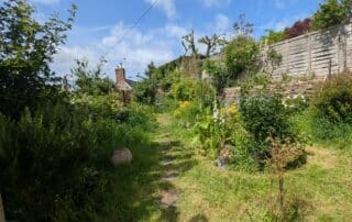 garden2