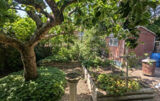 Abingdon Garden 2