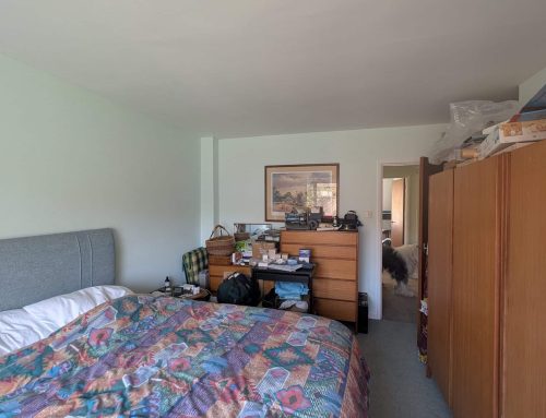 Homeshare in Failand, near Bristol BS8 – £200pcm